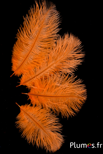 Autruche - 13-18 cm - orange